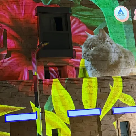 וידאו מאפינג VJ Mejadra Eyes